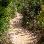 探索金都平台的多元化服务与创新商业模式 aeldftdw