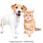 探索金沙信誉赌网平台的安全性与用户体验 ca0rbbgw0