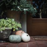 探索龙八国际官方网站入口的多样化娱乐体验 ga5oowopm