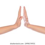 探索金冠赌城平台的多样化游戏体验与优惠活动 mfn7t5kcp