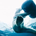 探索金沙平台直营的优势与特色,畅享无忧游戏体验 rs4x8gc