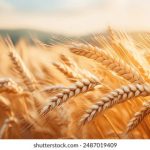 探索鸿博体彩APP的独特功能,助您赢取丰厚奖金 vp011p