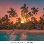 探索钻石赌城官网:尽享奢华游戏体验与精彩活动 wvk4m0df