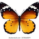 探索钱柜qg111官网:全方位了解在线娱乐新选择 x8mmx